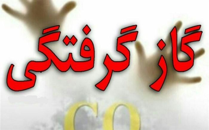 هشدار درمورد افزایش تلفات گازگرفتگی با آغاز سرما هشدار درمورد افزایش تلفات گازگرفتگی با شروع سرما