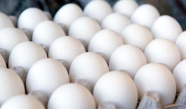 نرخ نو تخم مرغ؛ شانه 2 کیلویی 80 هزار تومان