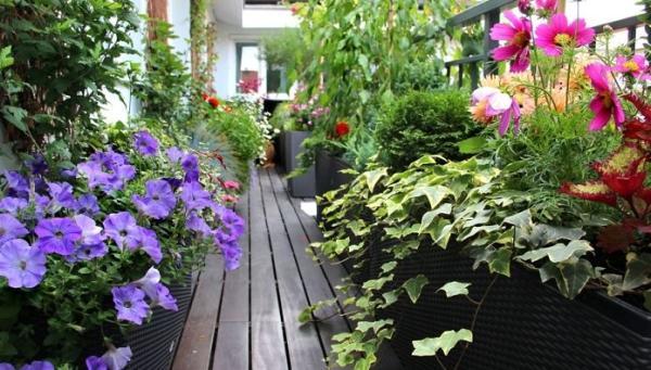 چگونه بالکن مان را تبدیل به باغ کنیم؟