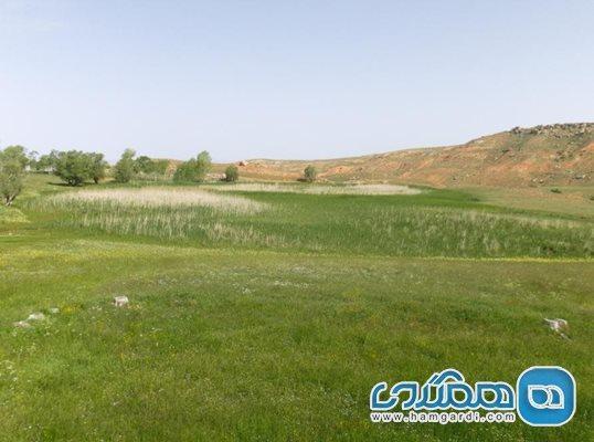 چمن چملی گول ، چمن متحرک تکاب در ایران چمن چملی گول ، چمن متحرک تکاب در ایران
